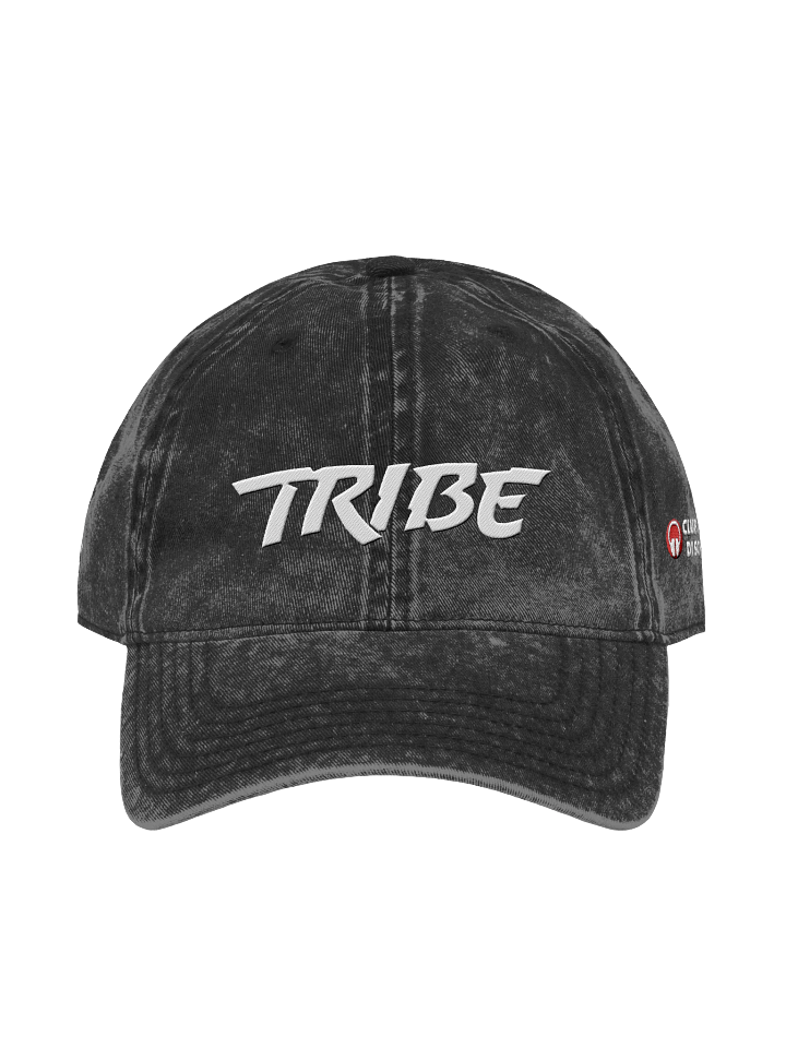Tribe Otto® Vintage Wash Dad Hat product image (1)