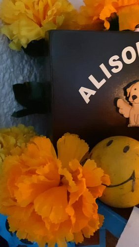 Even when they are no longer with us, our pets are alive in our hearts and the beautiful memories will remain always.