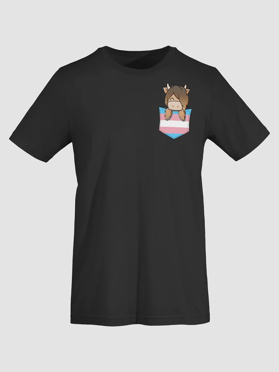 Trans Pocket Hamish Pride product image (50)