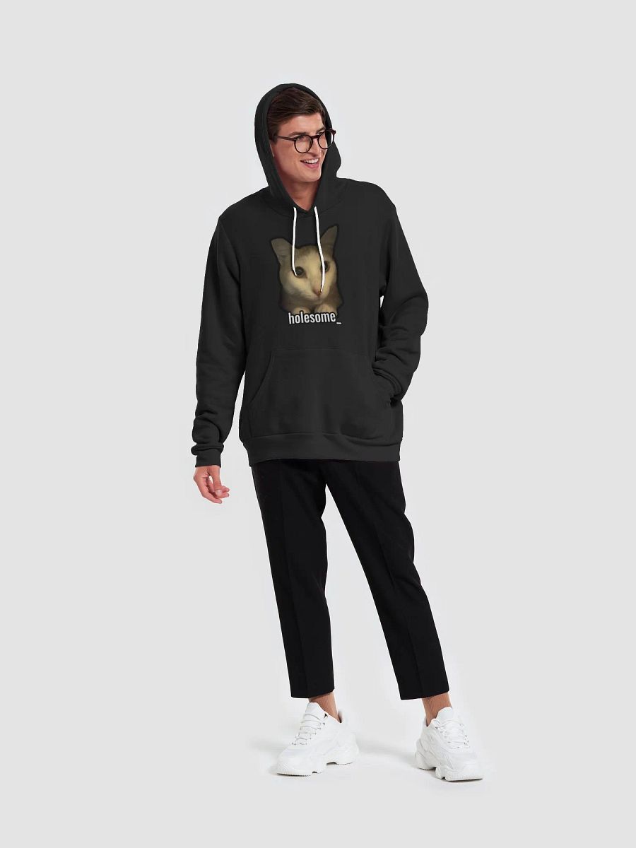 holesome Nico Hoodie product image (13)