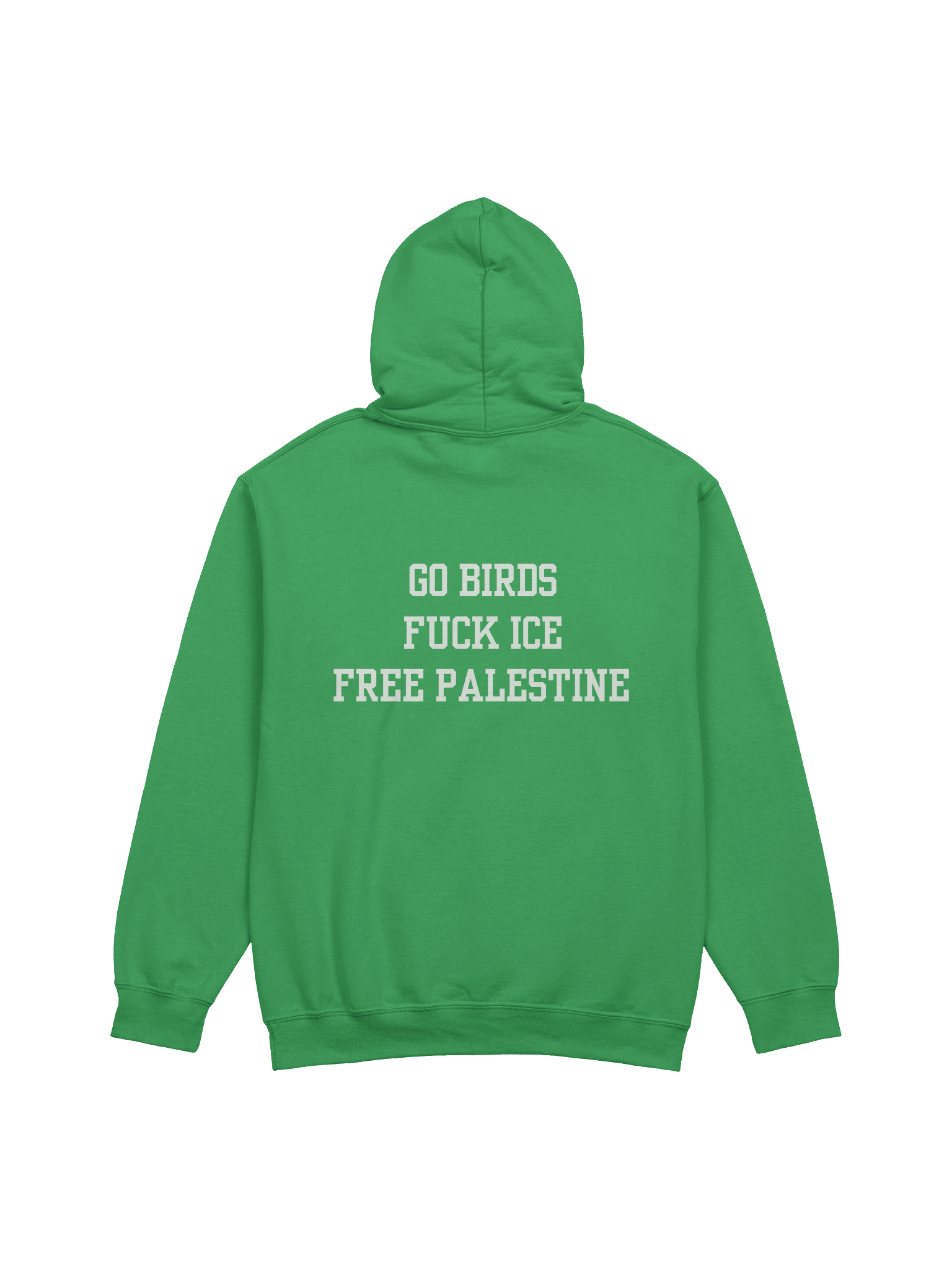 Go Birds, Fuck Ice, Free Palestine - Hoody product image (1)