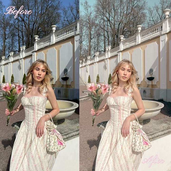 Antoinette Preset product image (2)