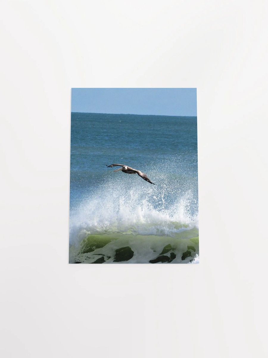 Flying Pelican product image (47)