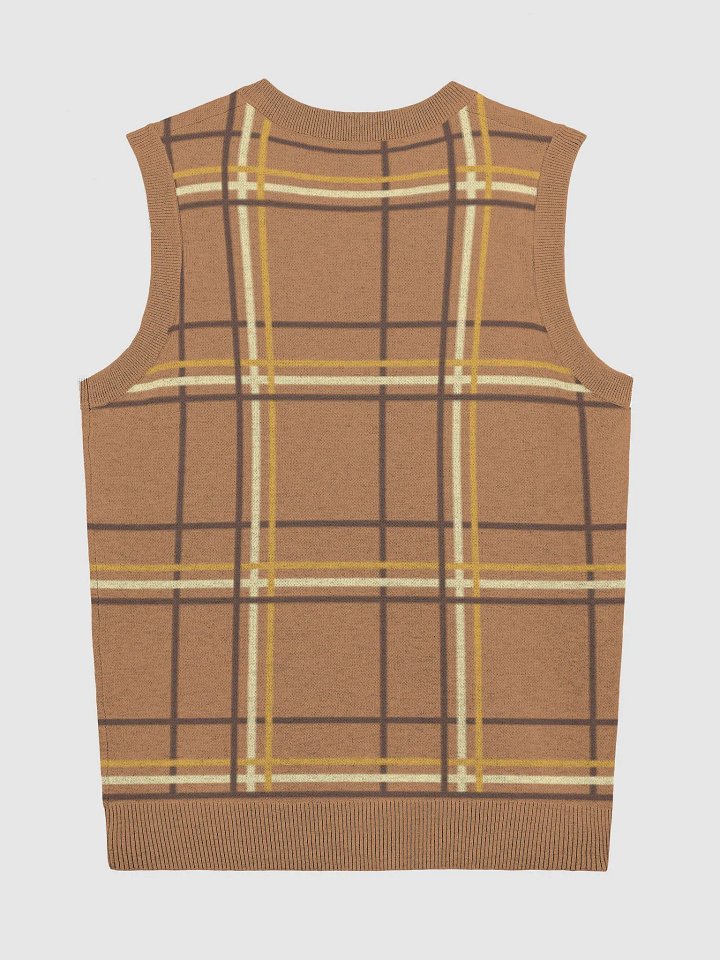 Plaid Perfection V-Neck Vest product image (9)