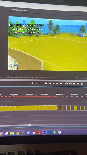 behind the scenes of editing 2,000+ screenshots and over 100 videos for a sims 4 stop motion build video using @Adobe Premier...