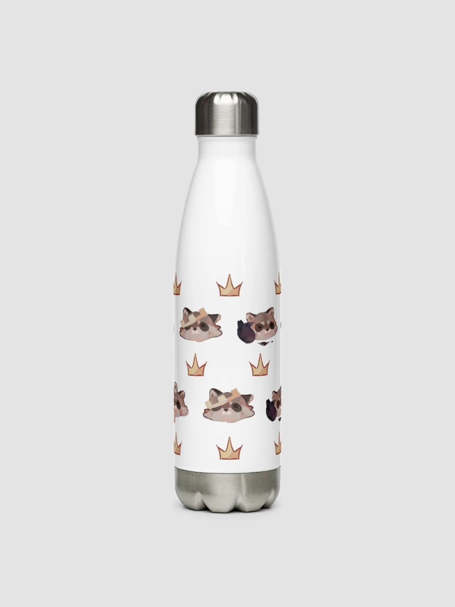 Stainless Steel Water Bottle product image (3)