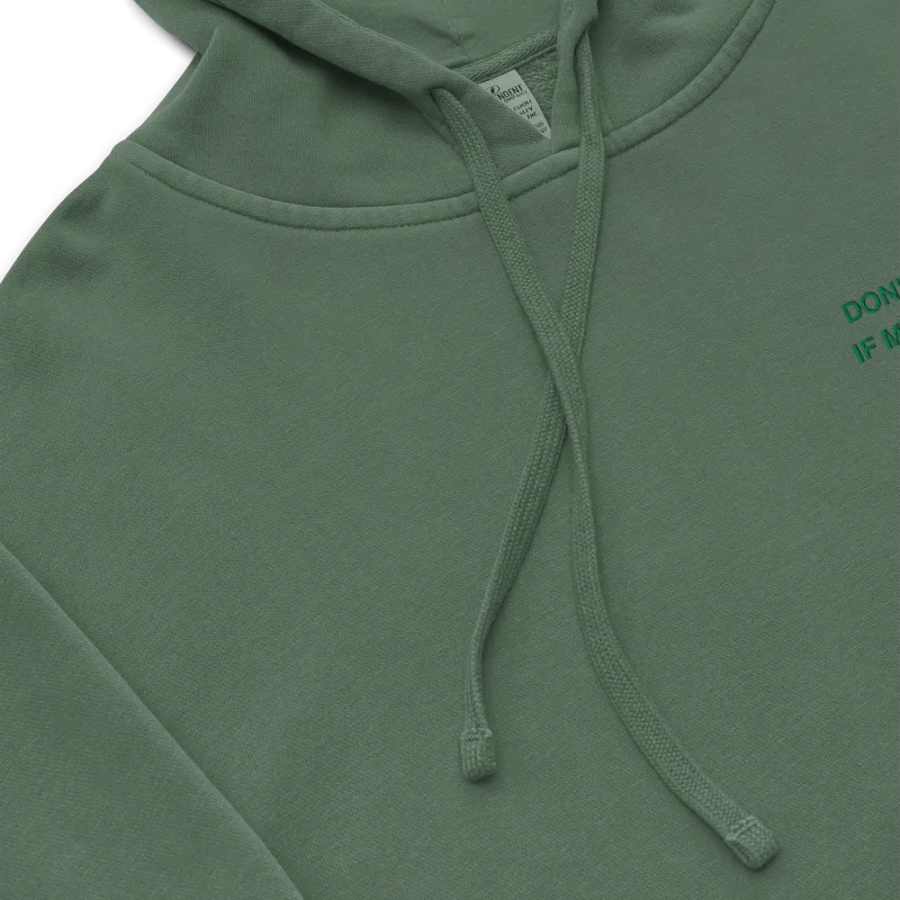 L.C. HEADPHONES ON (kelly) embroidered pigment hoodie product image (8)