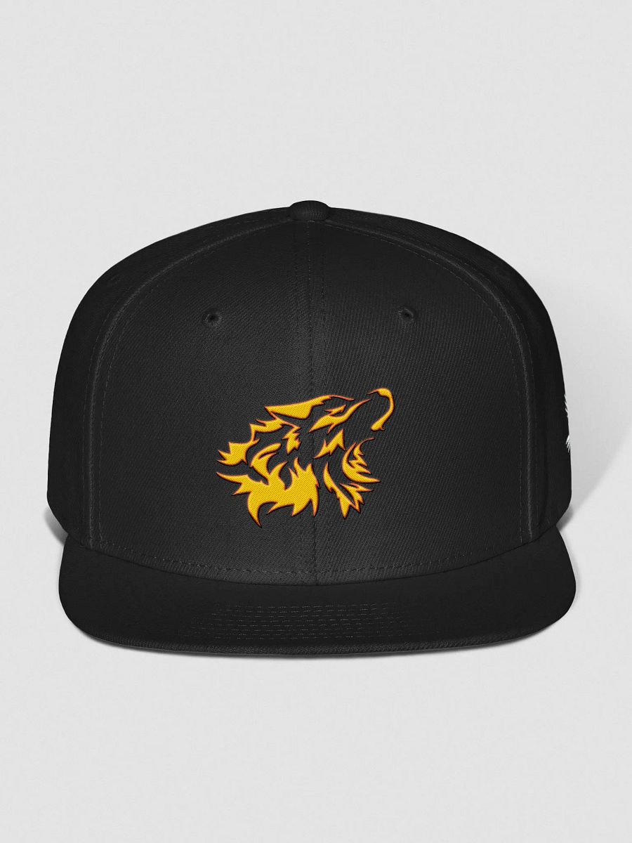 Anthric | Stitched Up Snap Back product image (1)