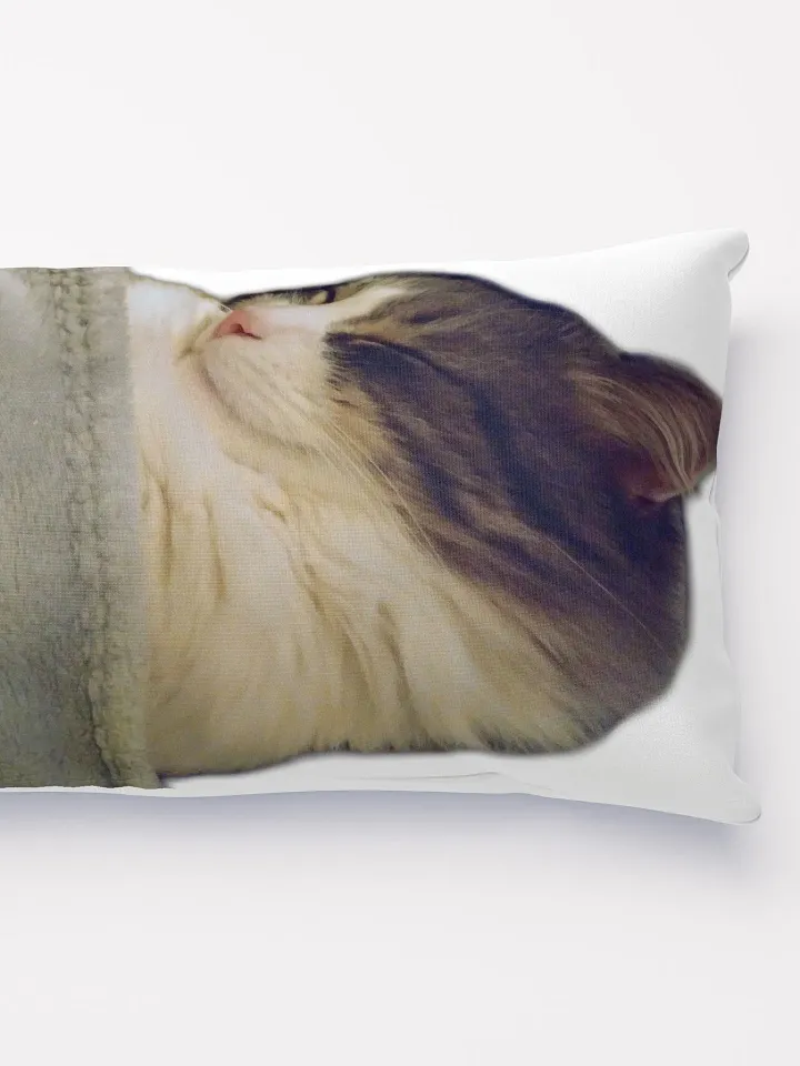 Smokey & Zoey Sleepy Pillow product image (2)