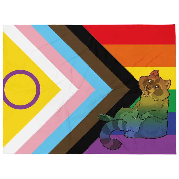 Rainbow Raccoon - Blanket product image (1)