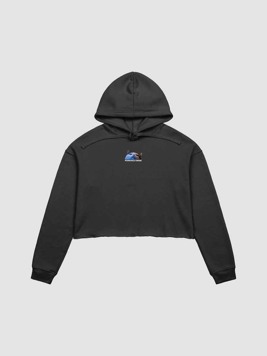 CROP HOODIE - MONNOMESTBRIAN product image (1)