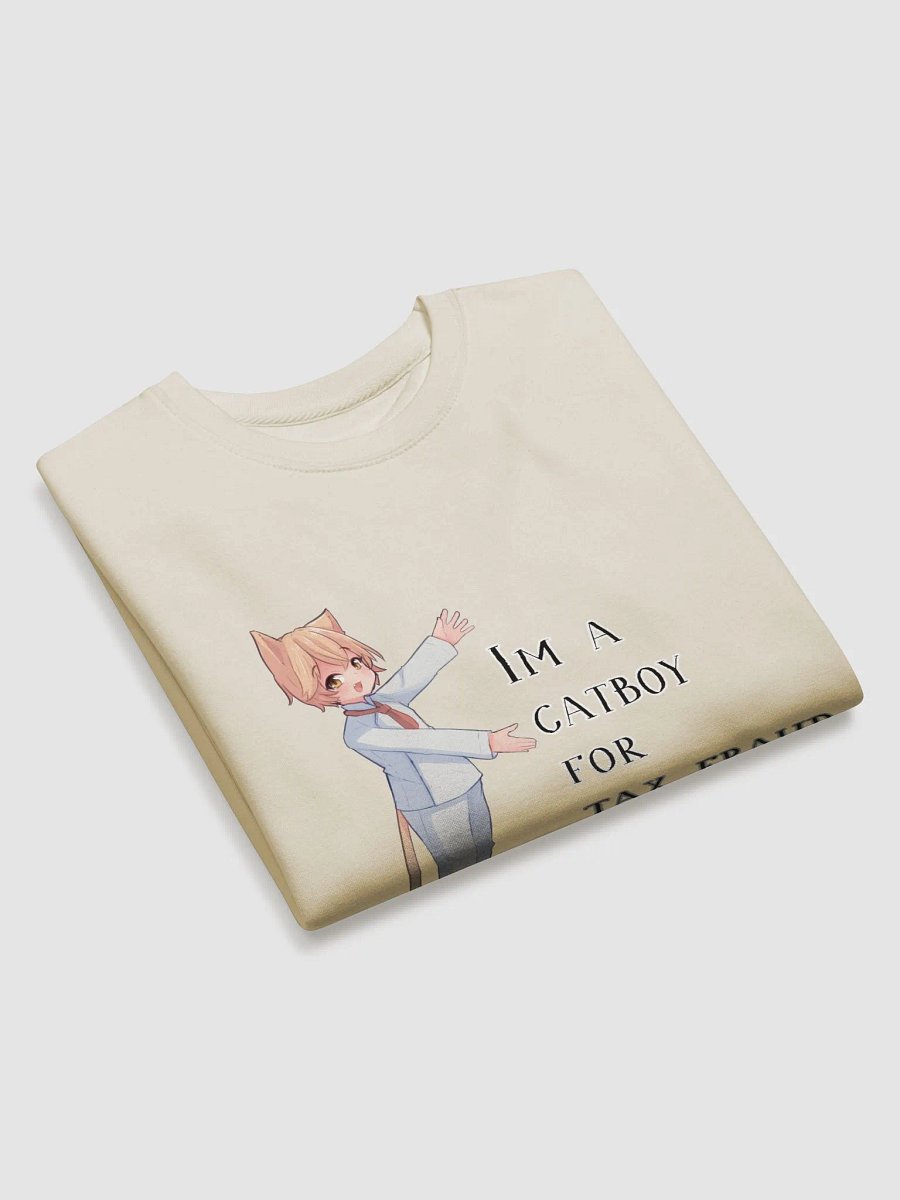 im a catboy for tax fraud product image (15)