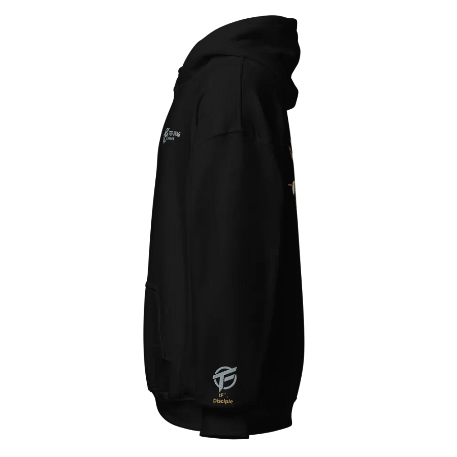 TopFrag™ Disciple Gildan Classic Hoodie product image (42)