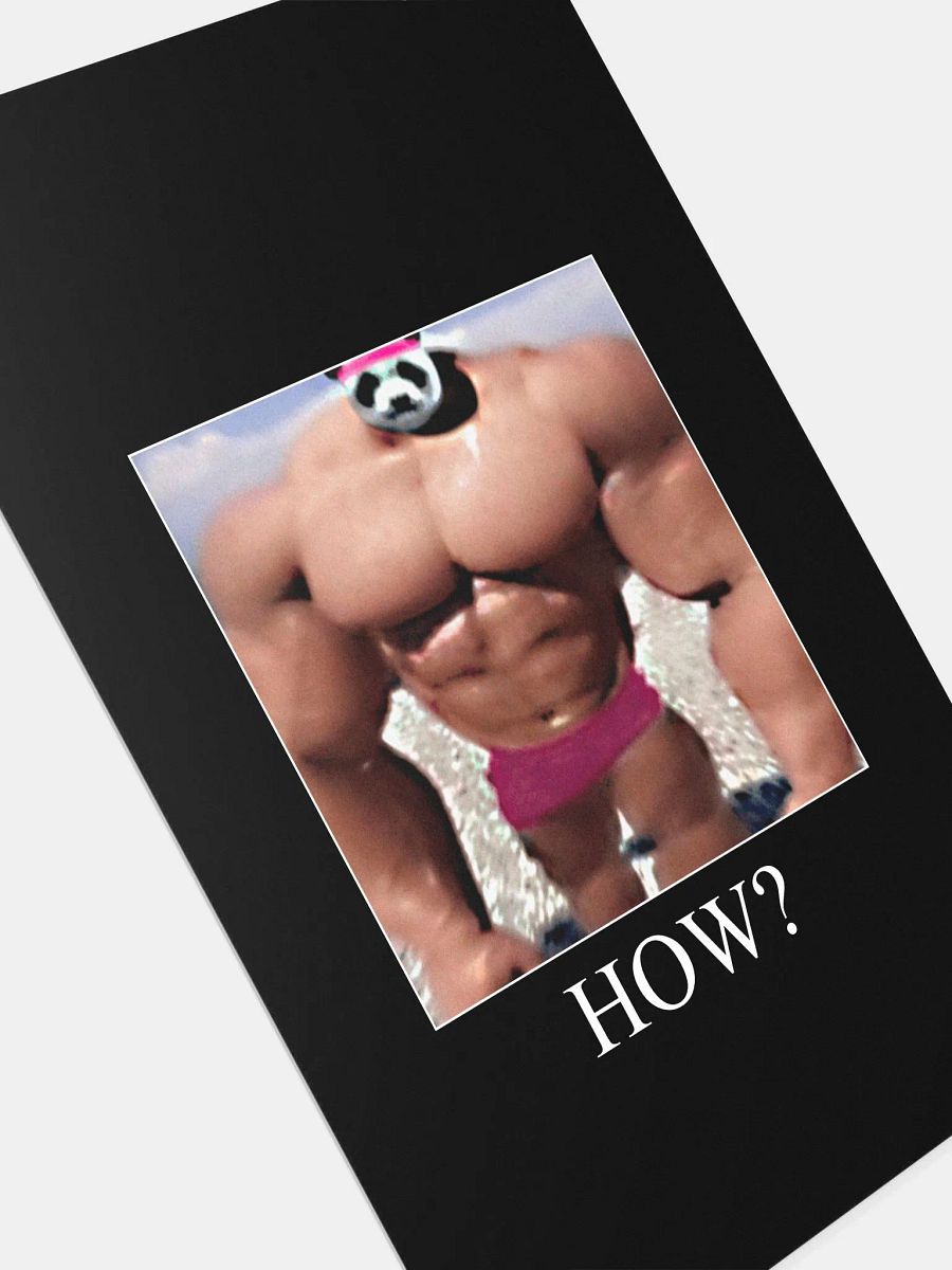 Peak Performance Meme Poster! product image (4)