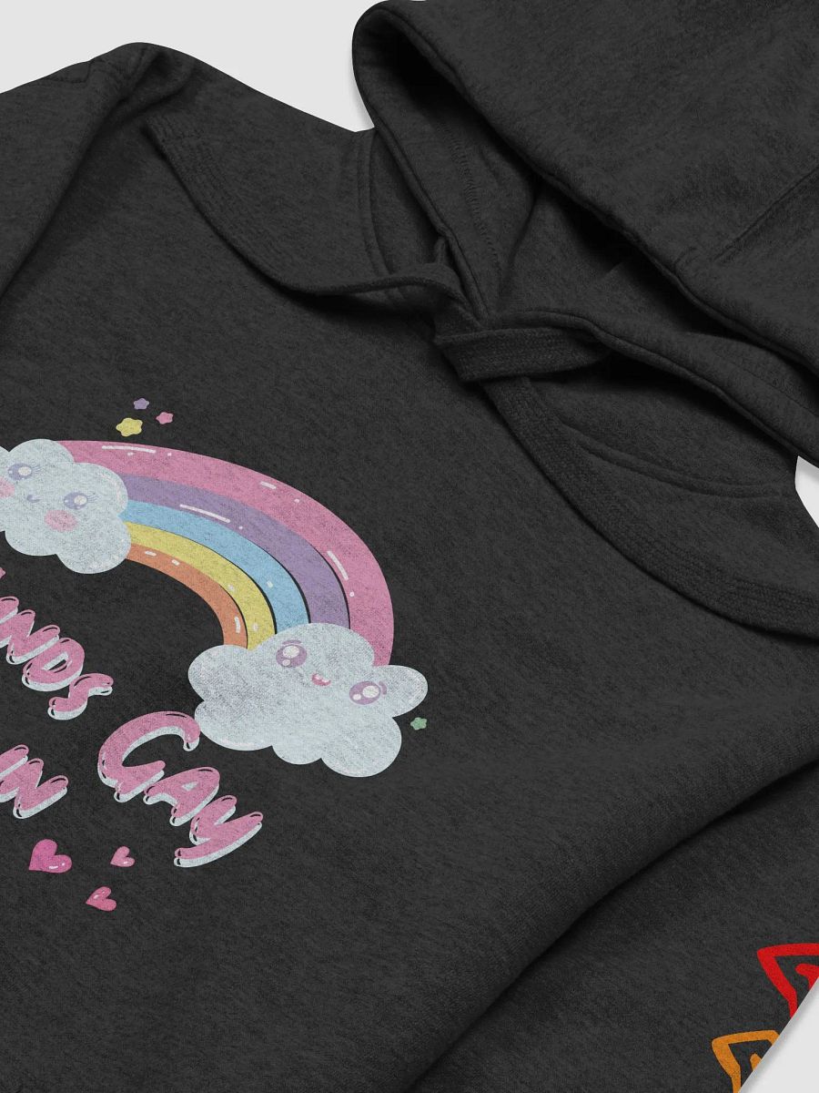 Sounds Gay Hoodie product image (3)