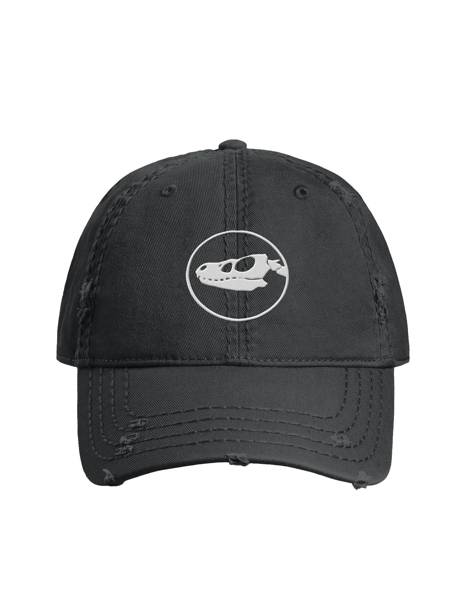 Raptor Sigil Cap product image (1)