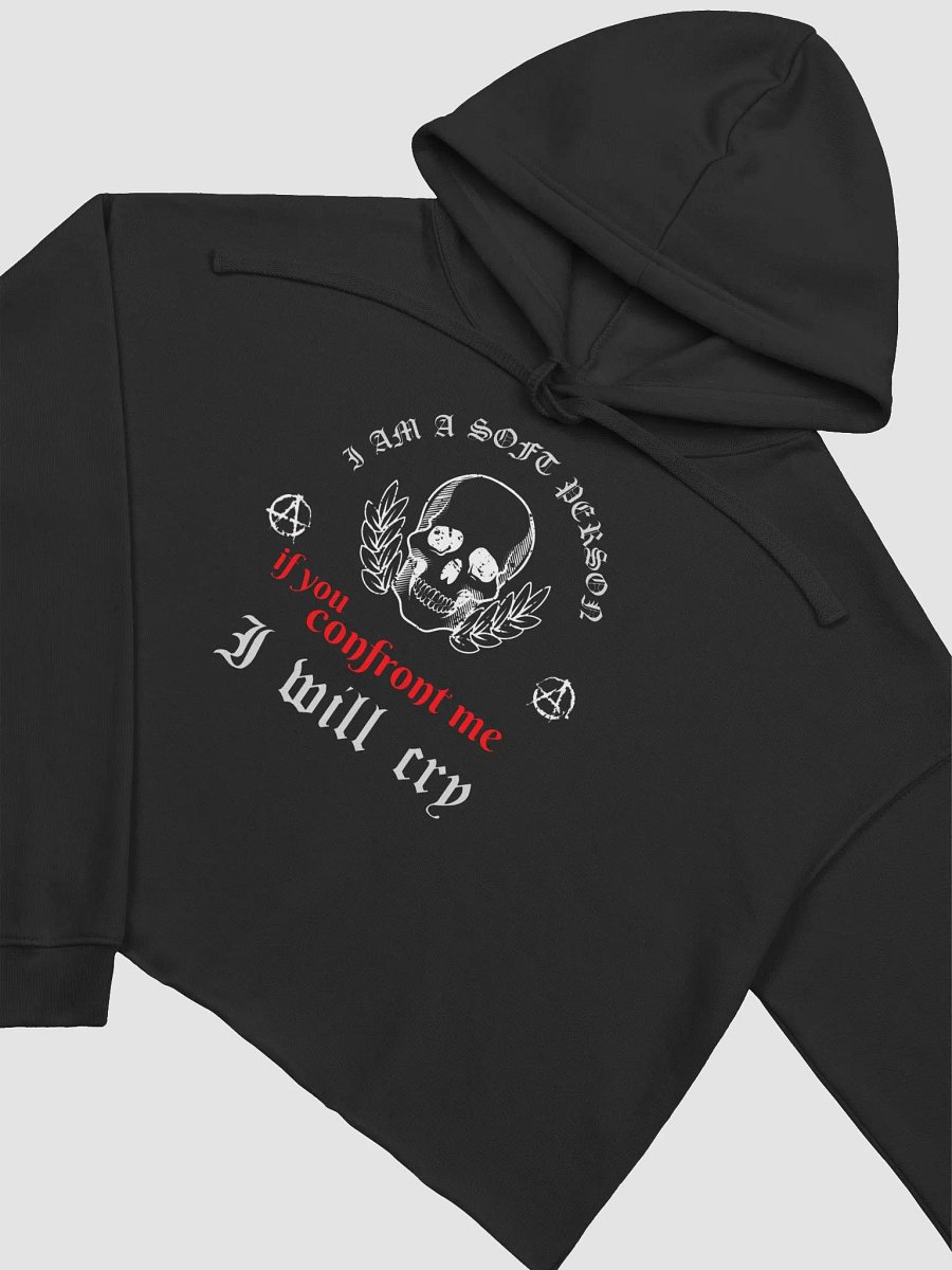 Soft Person fleece crop hoodie product image (4)