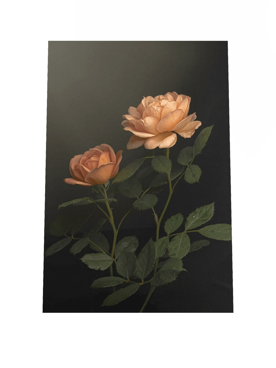 Peach English Roses: Enhanced Matte Paper Poster product image (3)