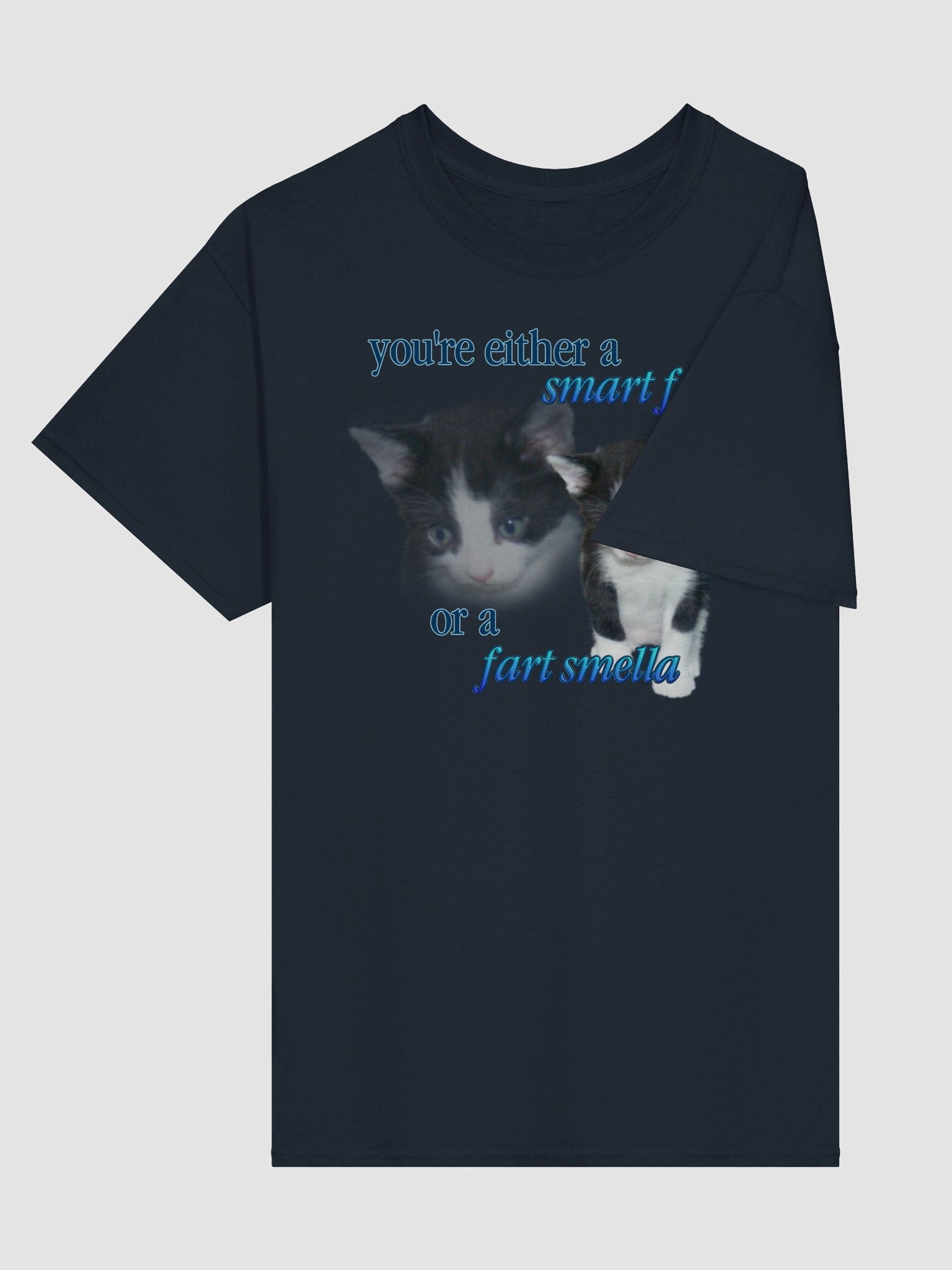 Smart Fella or a Fart Smella - Cat T-shirt product image (88)