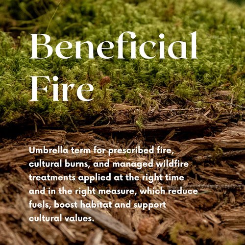 Beneficial Fire:

Umbrella term for prescribed fire, cultural burns, and managed wildfire treatments applied at the right tim...