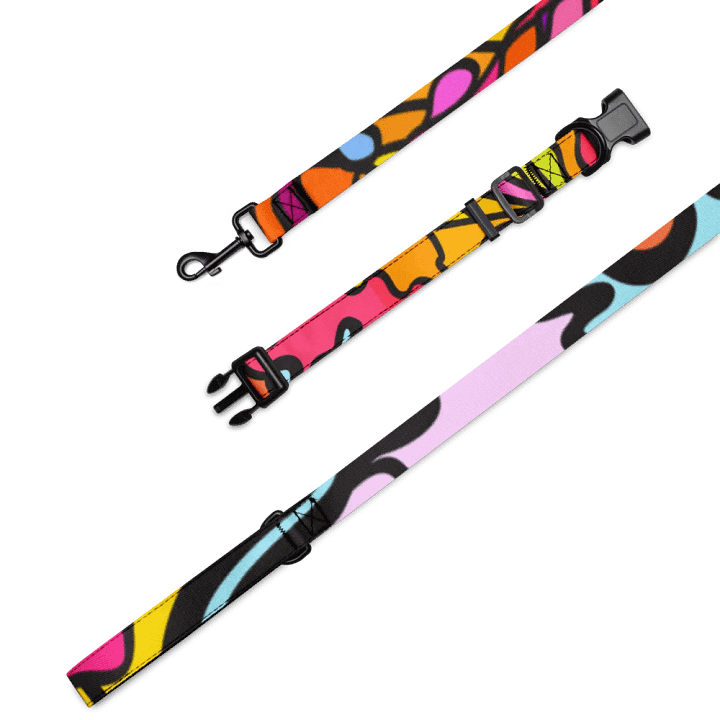 Vibrant Stripes Pet Collar & Leash Set - Wave at Sunset product image (1)