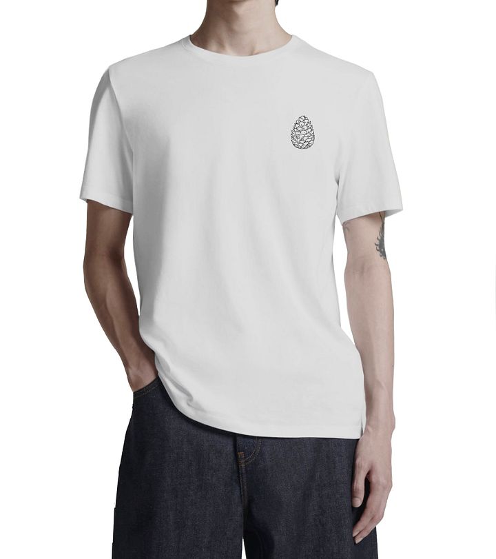 The pine product image (2)
