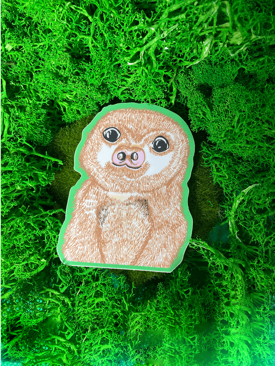 Sloth product image (1)
