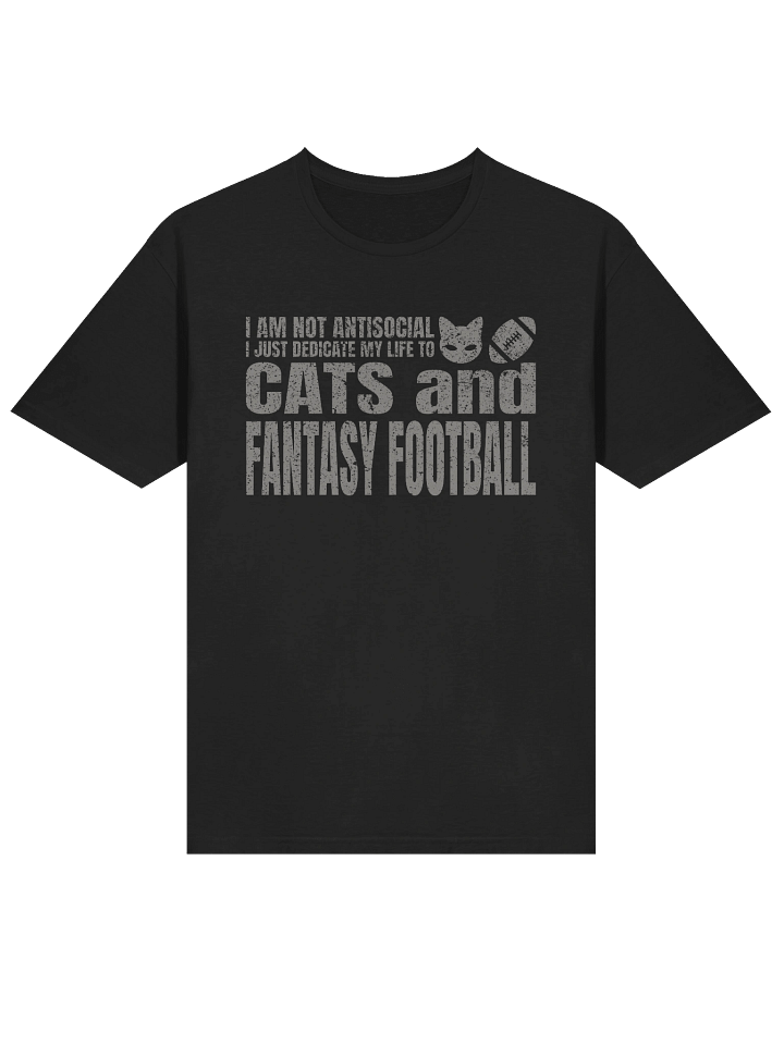 Fantasy Football Cat 1 - Unisex Adult Super Soft Lightweight T-shirt product image (1)