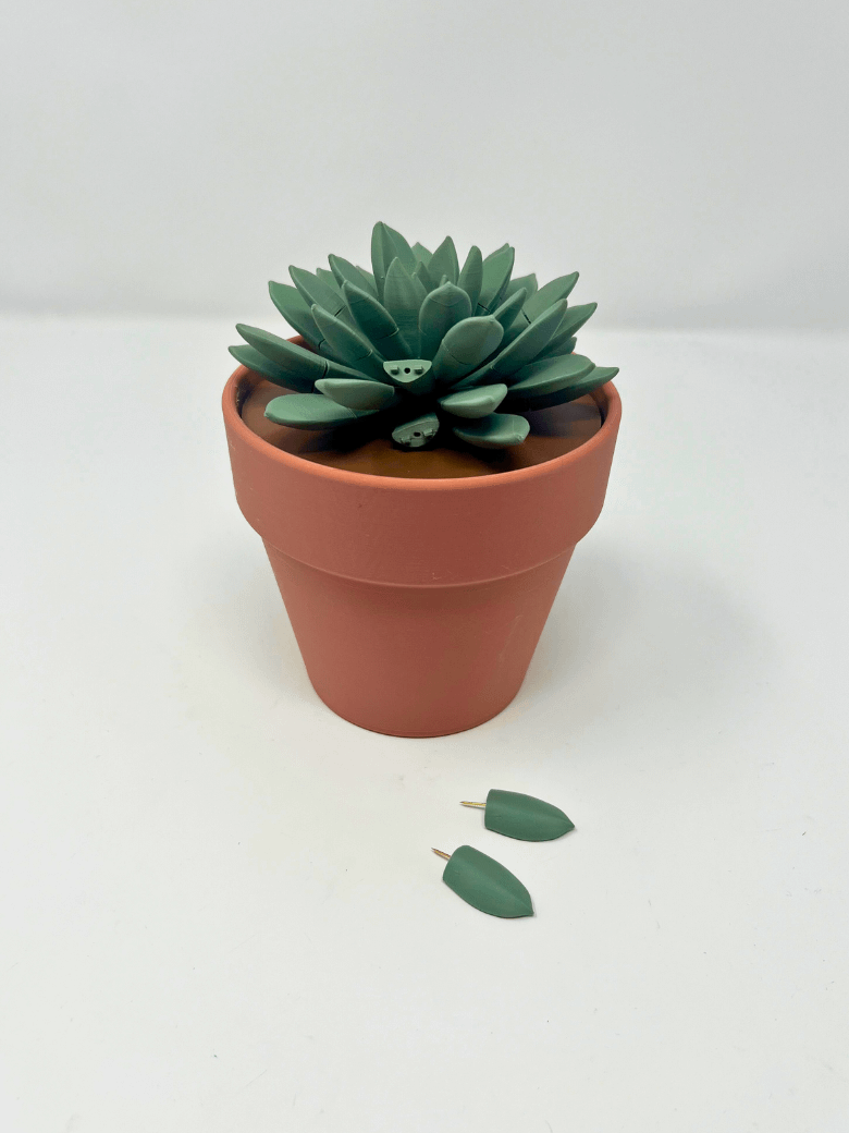 Push Pin Succulent (3D Printed) product image (1)