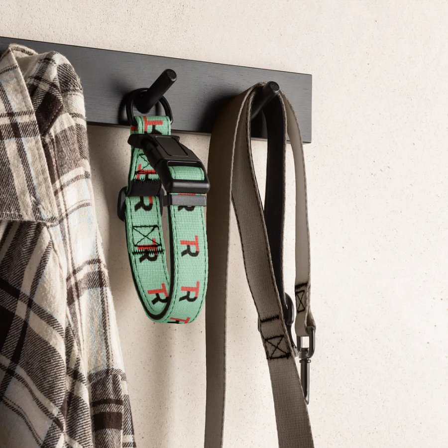 Rowdy Tuesday - Pet Collar product image (4)