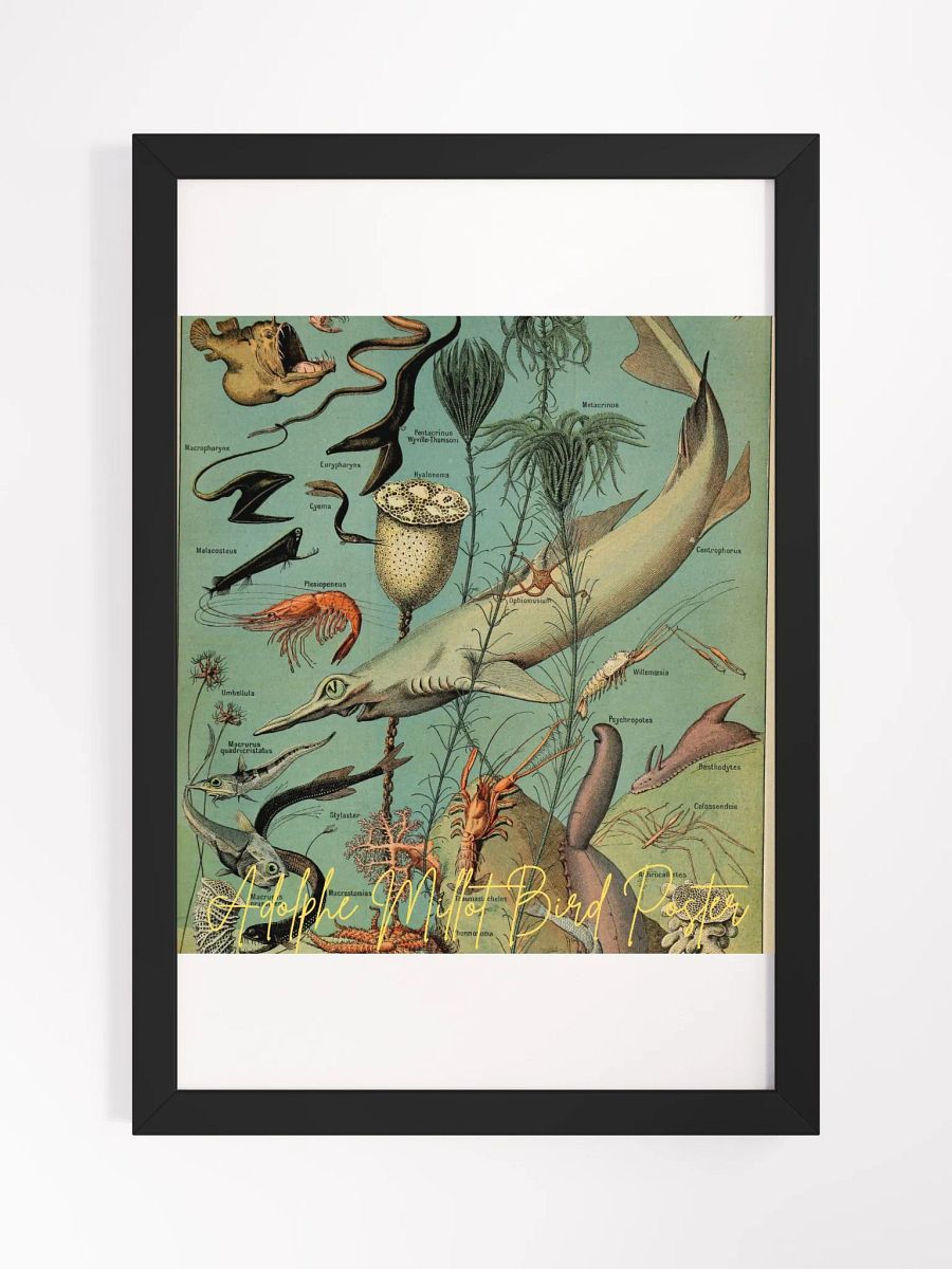 Art by Adolphe Millot Framed High-Quality Matte Poster (in) product image (1)