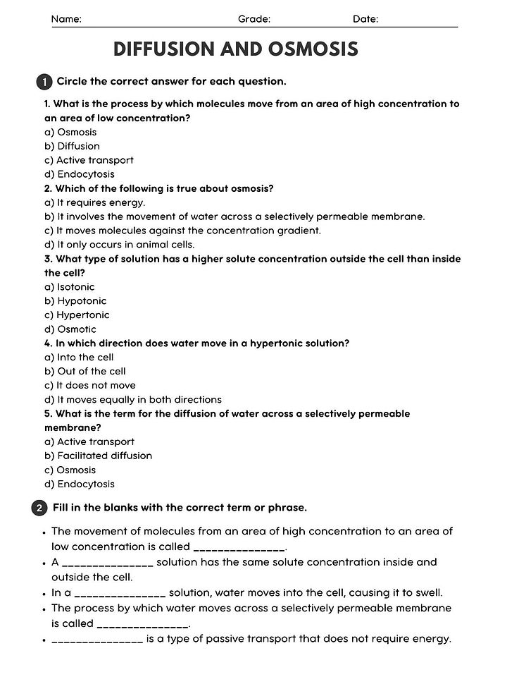 Biology Diffusion and Osmosis Worksheet - Printable PDF with Answer Key product image (1)