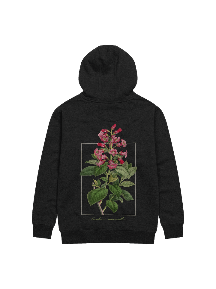 Escalonia macrantha Premium Adult Unisex Hoodie product image (1)