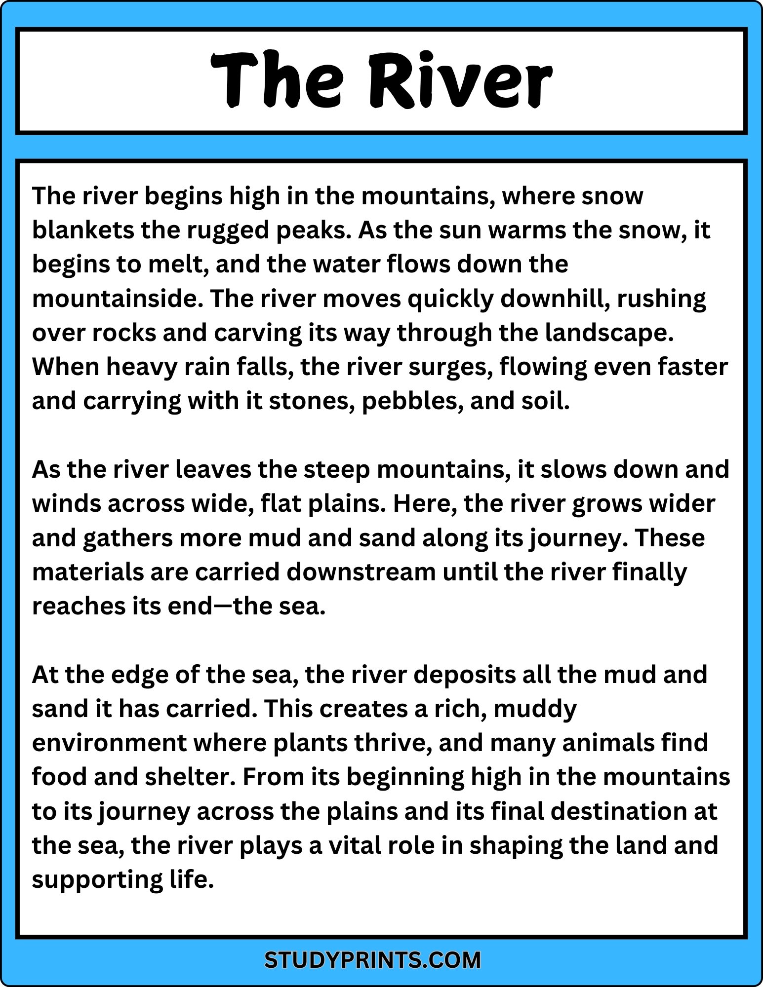 The River Reading Passage with Comprehension Questions product image (2)