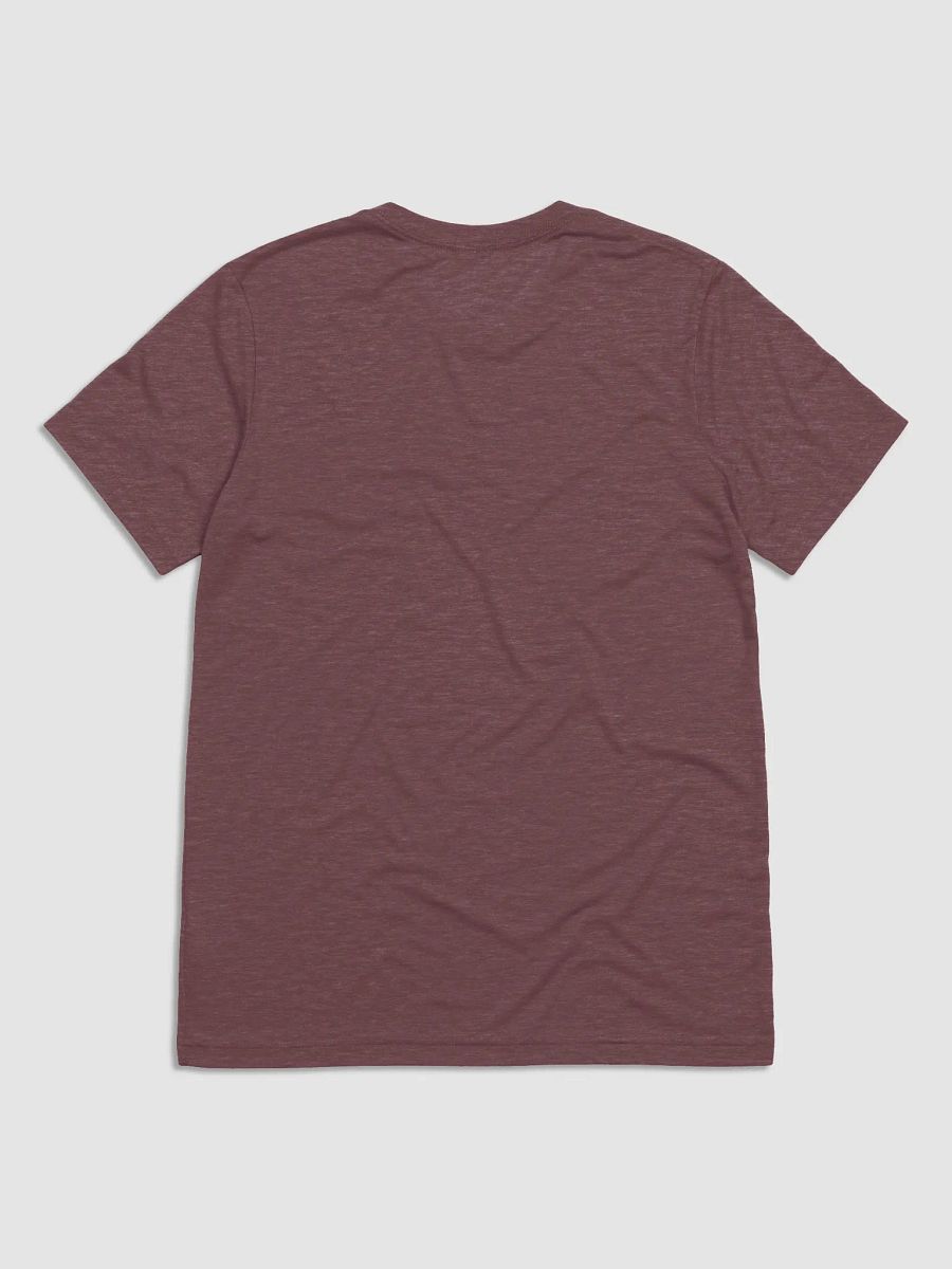 BaldZebra Graphic T product image (8)