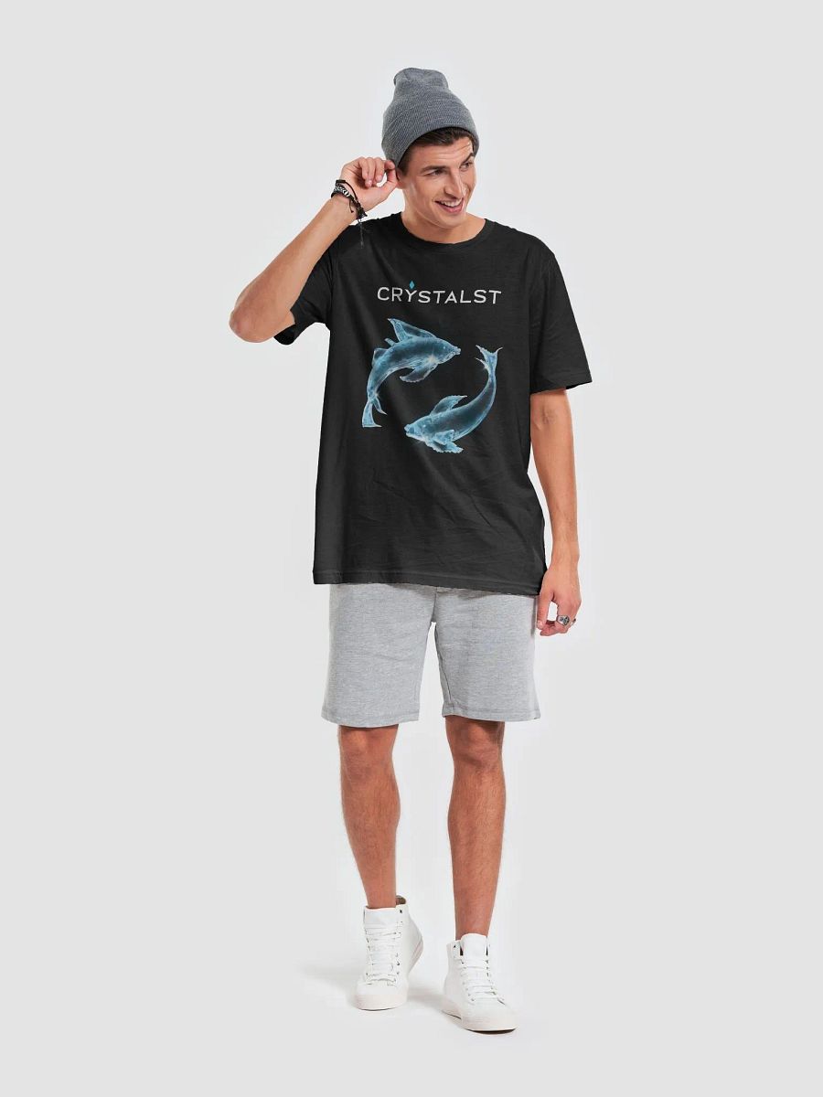 Crystalst Pisces product image (6)