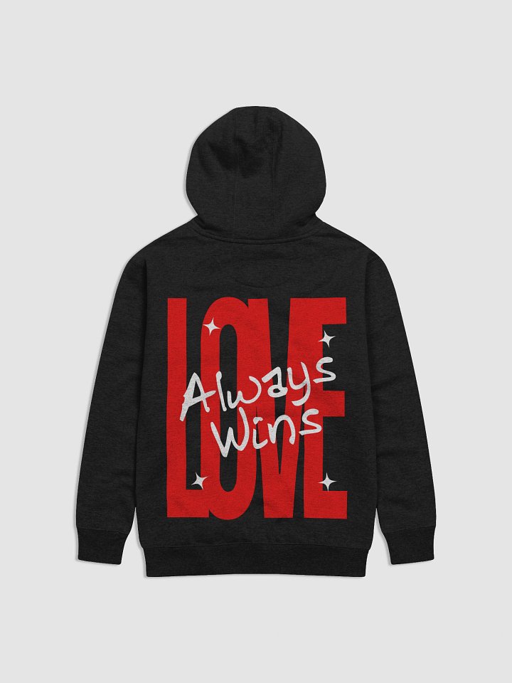 Love Always Wins Premium Hoodie product image (1)