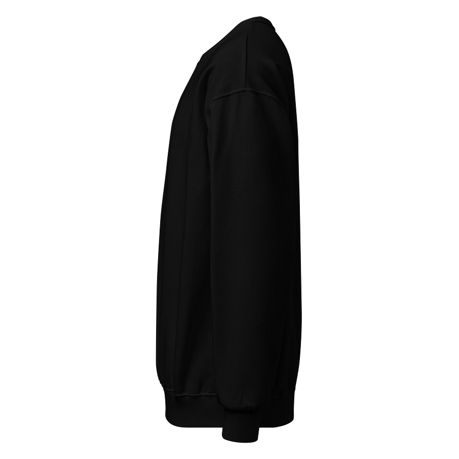 Gemini Embroidered Black on Black Long Sleeve Unisex Zodiac Sweatshirt Top product image (3)