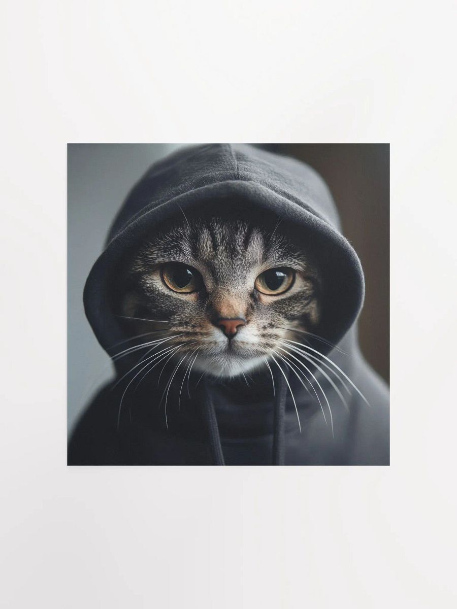 Hacker Cat product image (1)