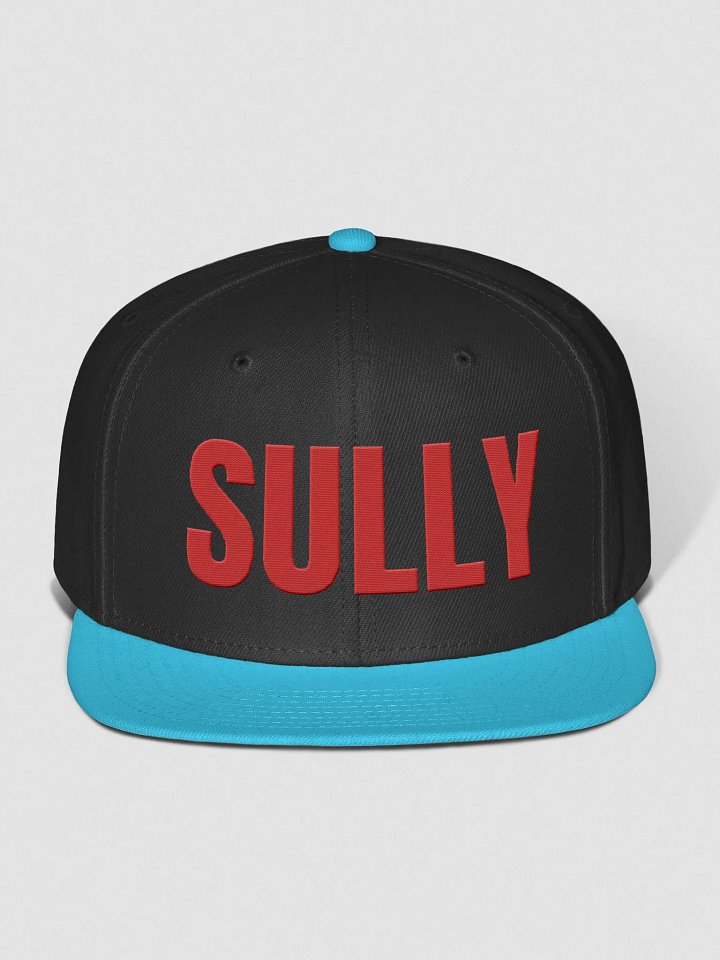 Sully Snap Back Hat product image (1)