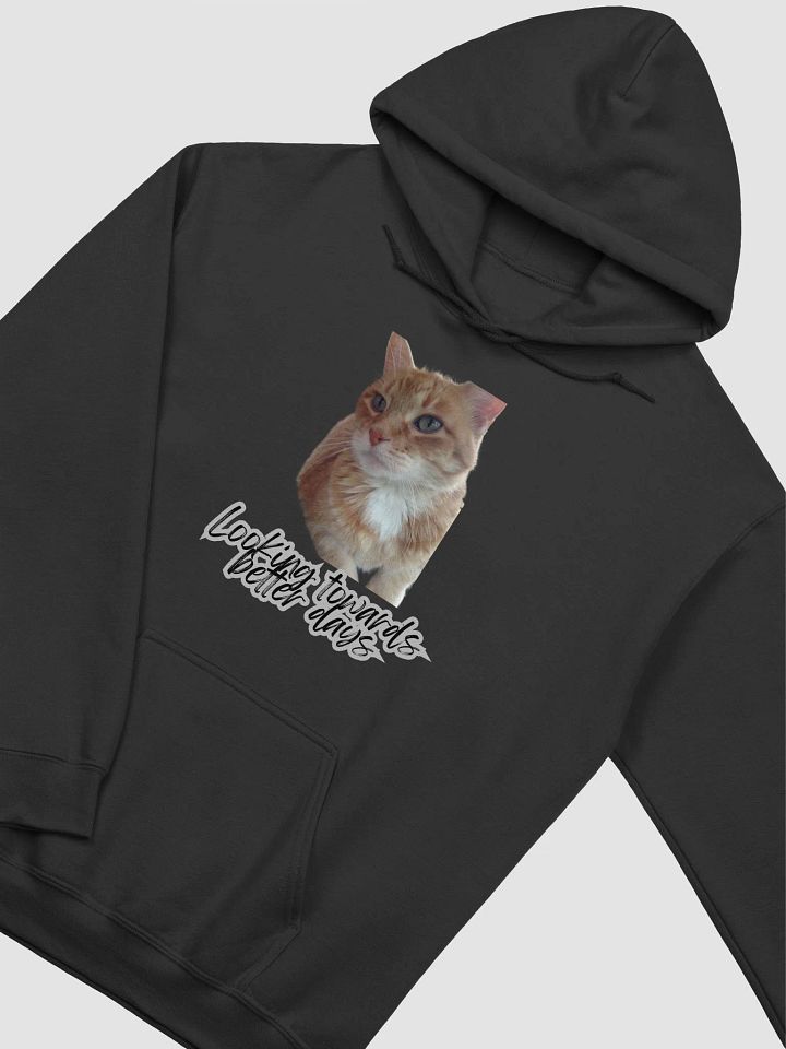 Better Days Ahead Hoodie product image (12)