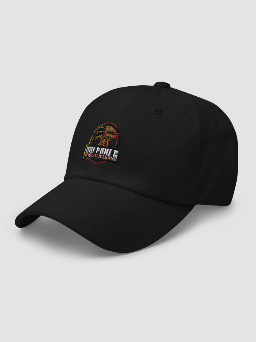 Vulcanlg Logo Embroidered Hat product image (3)