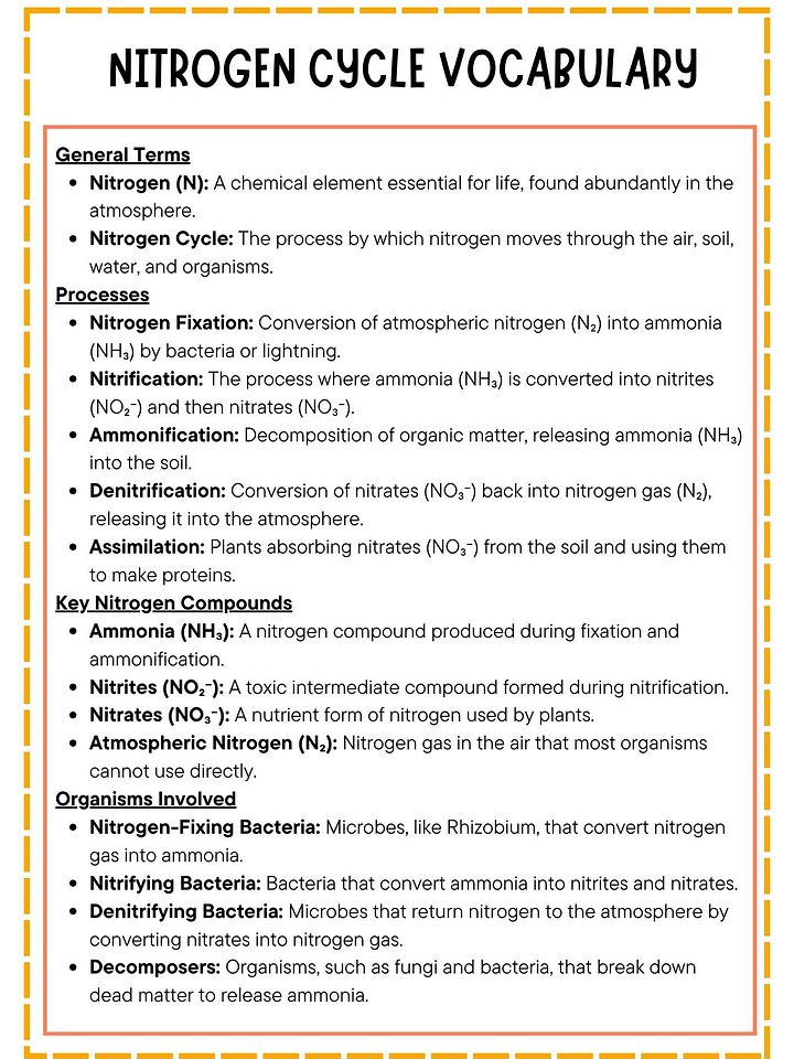Nitrogen Cycle Vocabulary List with Definitions product image (1)
