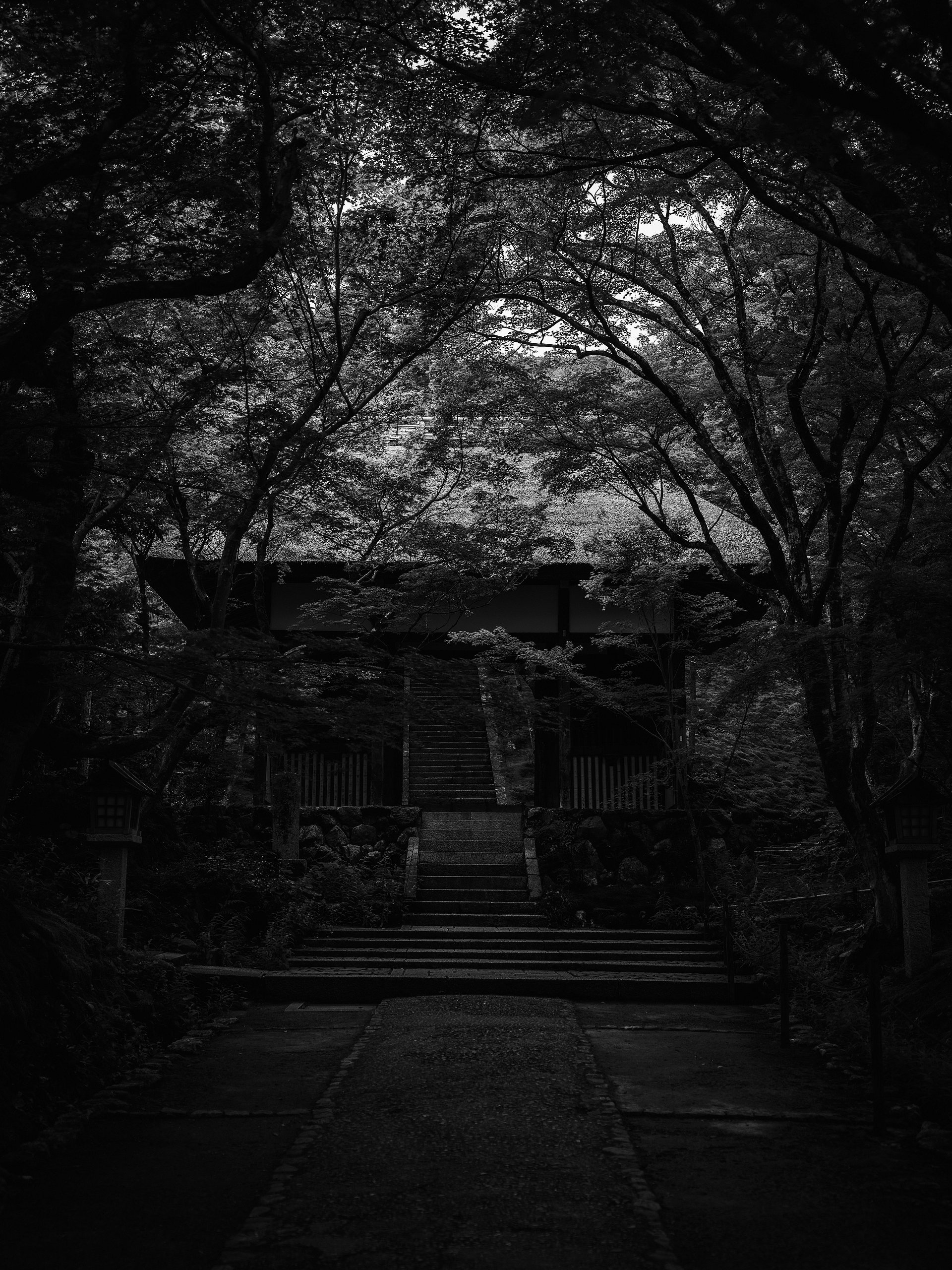 Japan Preset Pack - Vol. 1 product image (10)