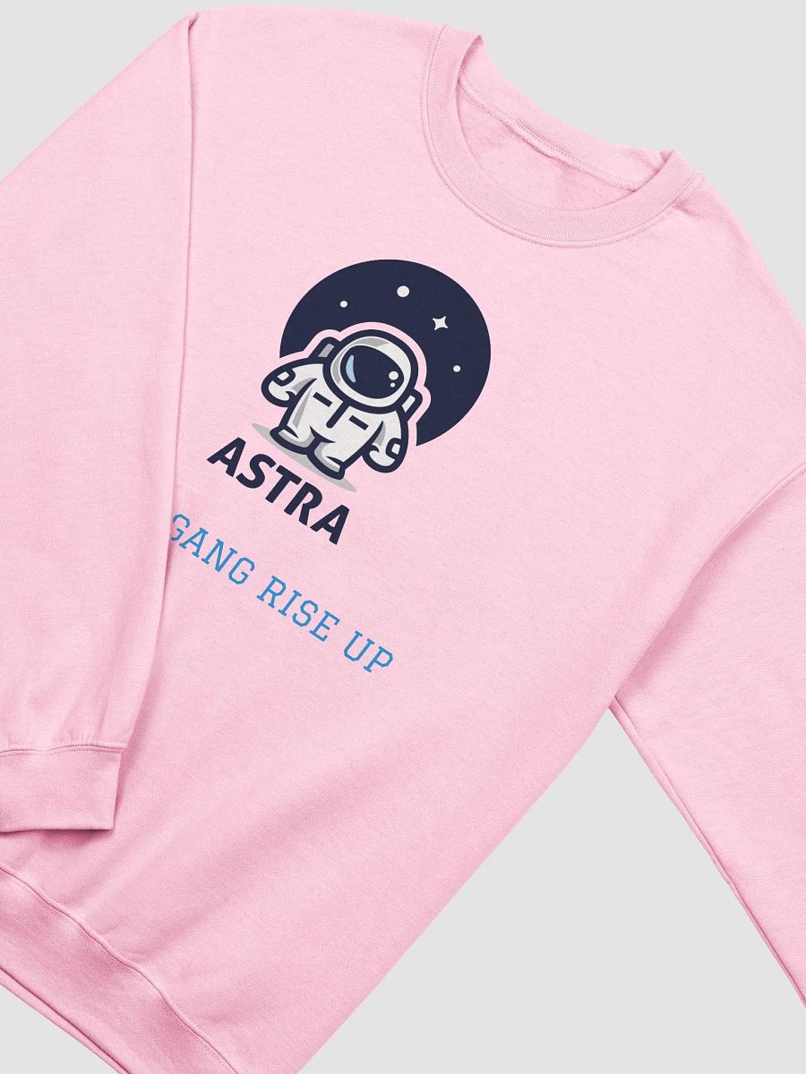 The Zhiera Sweatshirt for all Pally Pals! product image (3)