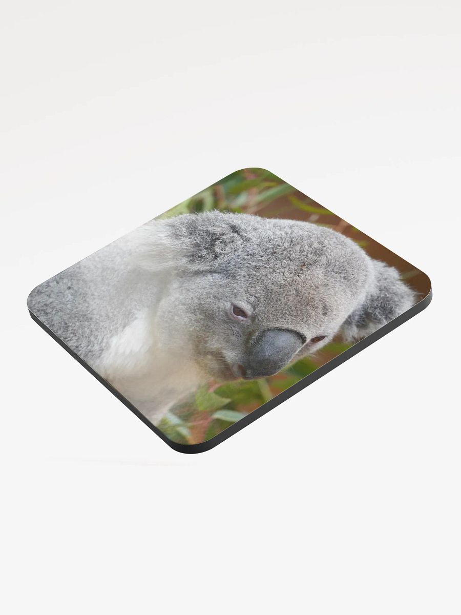 Koala Coaster product image (3)