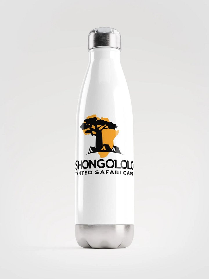 Stainless Steel Water Bottle product image (1)