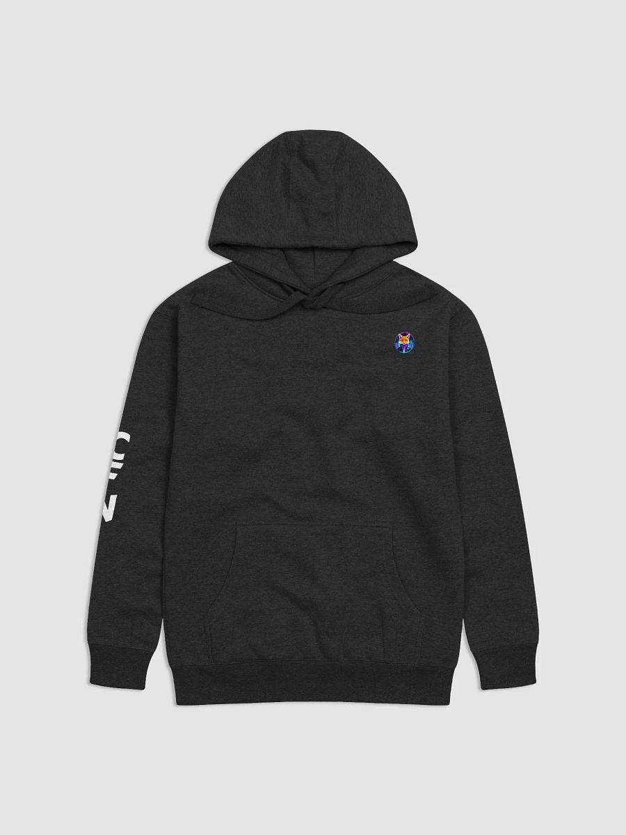 Astro CFN Unisex Premium Hoodie product image (1)