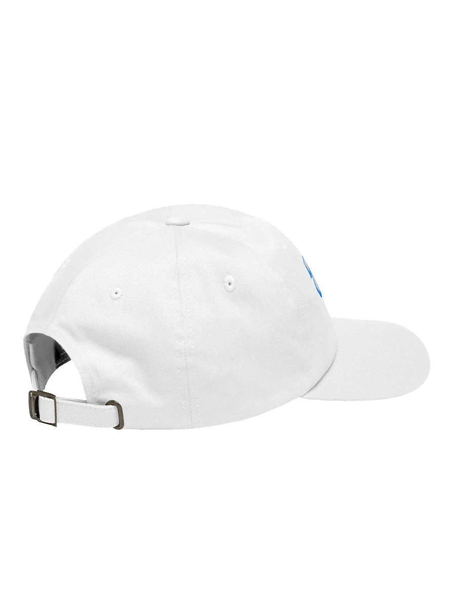 ZAMN Invisi-Logo Dad Hat: White product image (8)