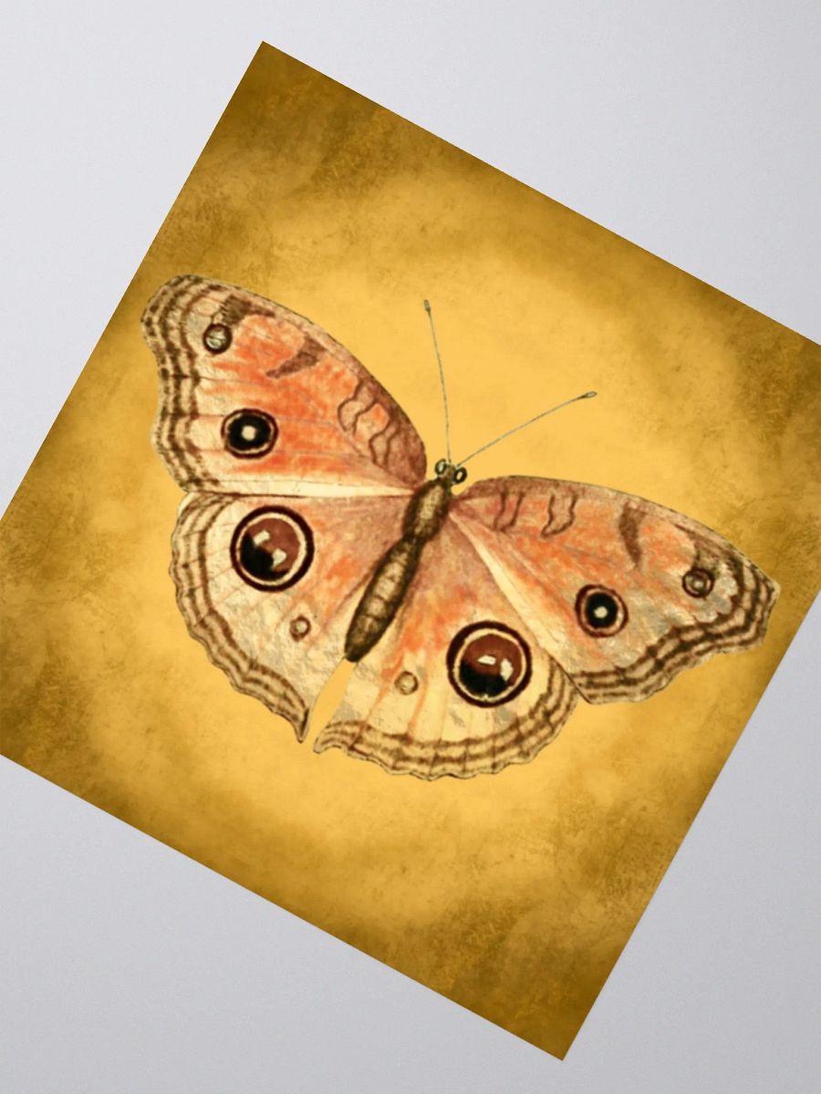 Butterfly Kiss Cut Stickers product image (2)